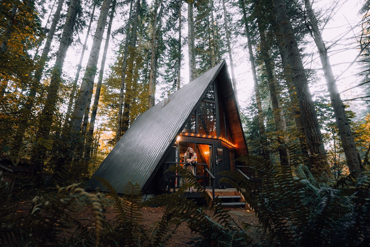 Forest Spa Chalet